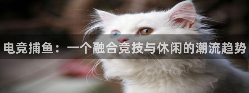 南宫电竞电竞进不去：电竞捕鱼：一个融合竞