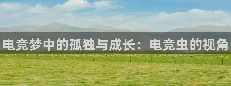 南宫电竞电竞超级玩家：电竞梦中的孤独与成