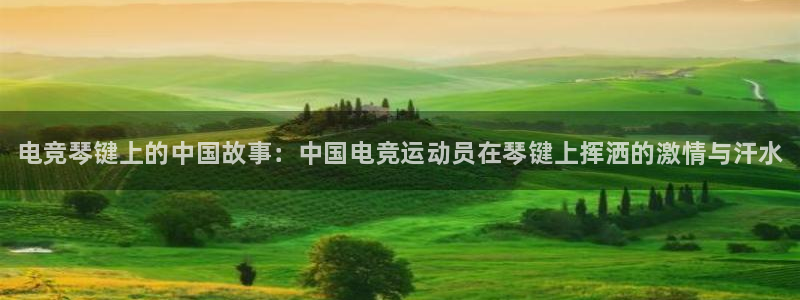 南宫电竞电竞官网app下载入口：电竞琴键