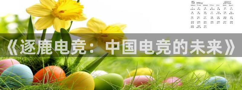 南宫电竞电竞限额：《逐鹿电竞：中国电竞的