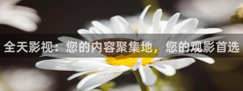 丝瓜视频在线观看全集：全天影视：您的内容聚集地，您的观影首选