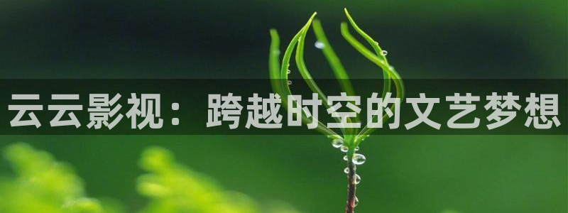 狐狸视频与丝瓜视频