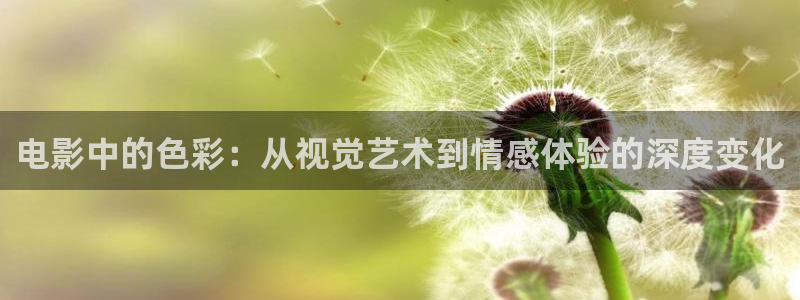 丝瓜视频os