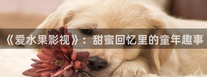 丝瓜视频下载站
