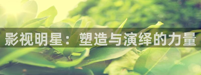 丝瓜视频在线观看高清完整版