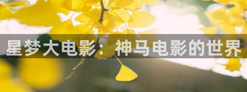 丝瓜视频色板下载