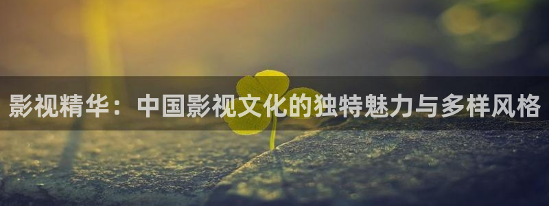 丝瓜影视网