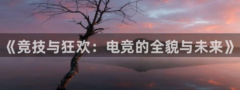 泛亚电竞和南宫电竞电竞的区别：《竞技与狂