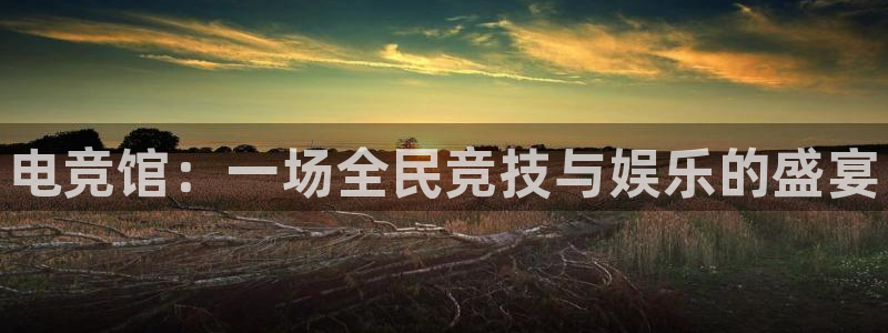 南宫电竞电竞·(中国)电子竞技平台：电竞